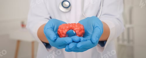 Preview: Endocrinologist holding thyroid gland model in hospital, closeup. Banner design
