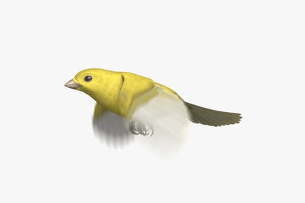 Предпросмотр: Анимированная желтая канарейка в полете