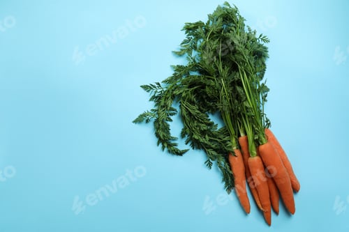 Preview: Heap of fresh carrot on blue background