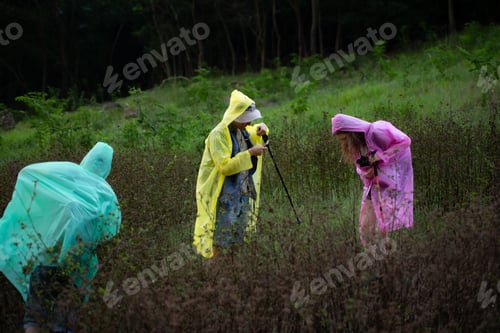 Preview: Group of friends in raincoats walking on the forest path, Hiking concept.
