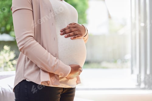 Preview: Cropped shot of an unrecognizable mother to be standing in her living room at home