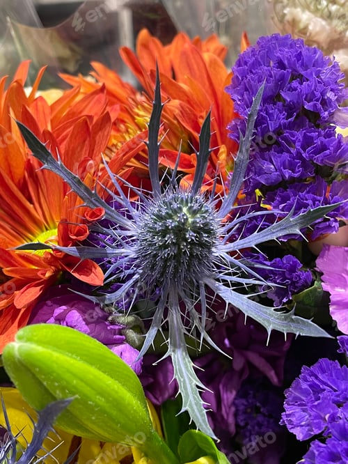 Preview: Flowers