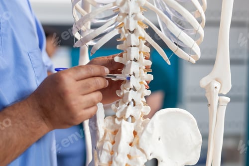 Preview: Close up of nurse pointing at spine bones on human skeleton