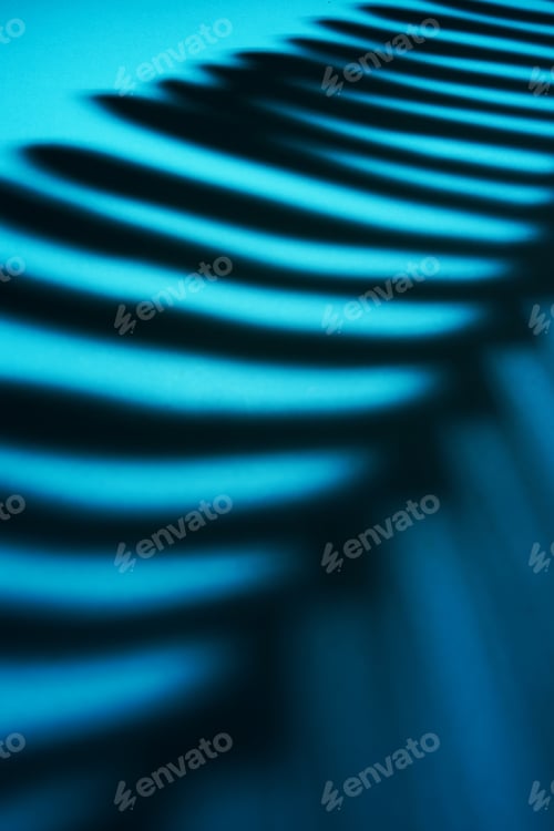 Preview: Beautiful monstera leaves shadow colored background in artificial light