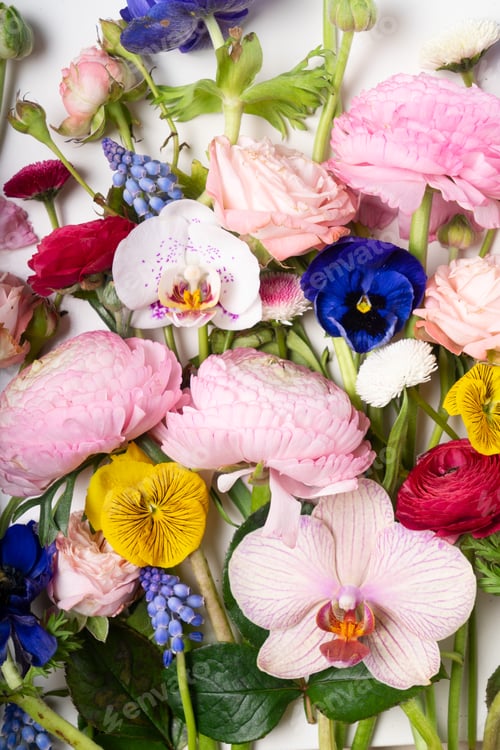 Preview: Ranunculus flat lay composition