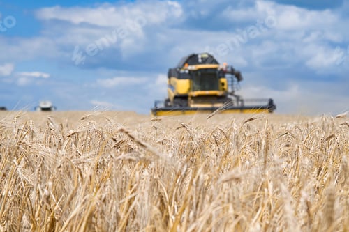 Preview: harvester machine