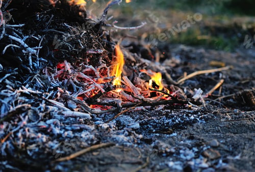 Preview: Bonfire in the forest