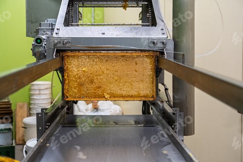 Preview: Automated Honey Extraction A Detailed View of Honeycomb Processing Equipment