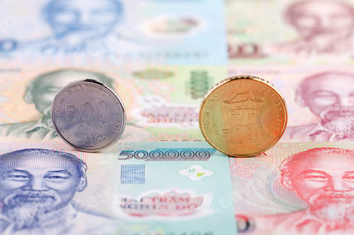 Preview: Vietnamese coins