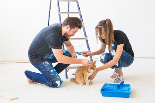 Preview: People, redecoration and renovation concept - portrait of couple with cat pour paint