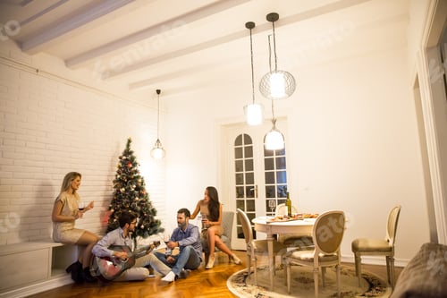 Preview: Young people celebrating Christmas and New Year by fir-tree at home