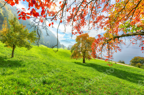 Preview: Captivating autumn view on suburb of Stansstad city and Lucerne lake with mountaines and fog