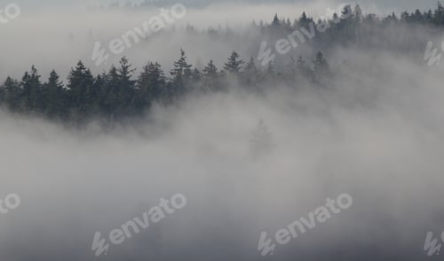 Preview: Fog Layers
