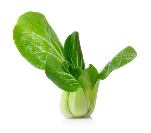Preview: Bok choy isolated on a white background