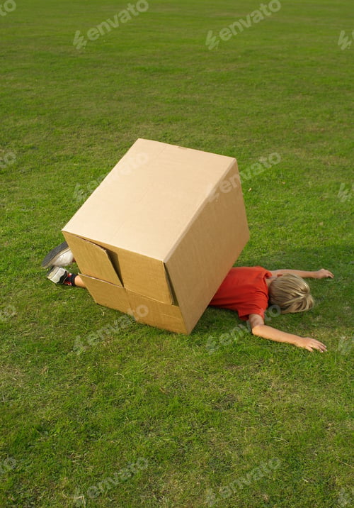 Preview: boy under box