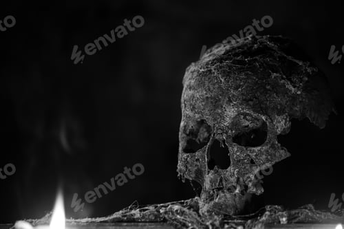 Preview: Scary grunge skull wallpaper. Halloween background.