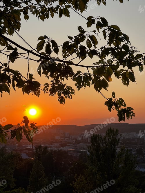 Preview: sunset overlooking the city in the park