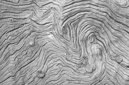 Preview: black and white detail of wooden plank pattern with hole bud