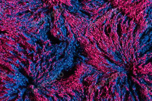 Preview: Ferrofluid illuminated with neon light