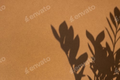 Preview: Top view of green plant shadow on sand brown color background. Flat lay. Minimal summer concept