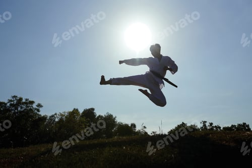 Preview: Taekwondo Athlete Doing Jump Kick
