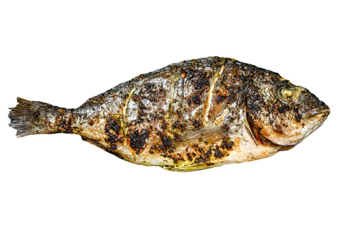 Preview: Grilled Dorado fish Isolated on white background. Top view.