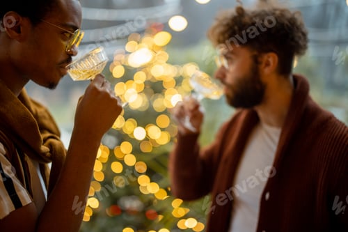 Preview: Two male friends celebrating with wine at backyard