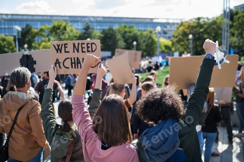 Preview: Rear view of people with placards and posters on global strike for climate change