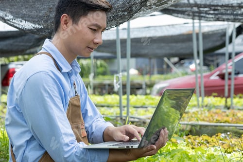 Preview: Young agriculturists are selecting vegetables to check their quality for sale in their small-scale