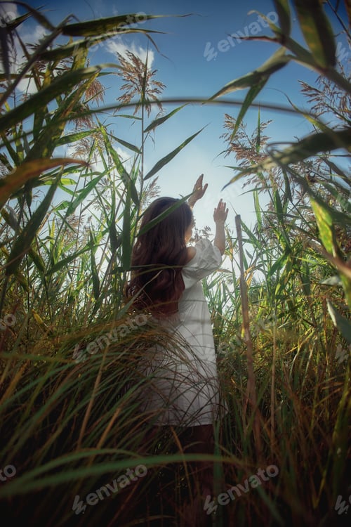 Preview: Romantic young woman in thick tall grass in field. Dreamy gentle woman in a white dress in nature
