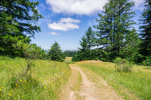 Preview: Hiking trail on the hills of north San Francisco bay, California
