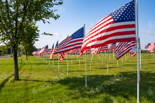 Preview: A field of American flags on a bright sunny day.
