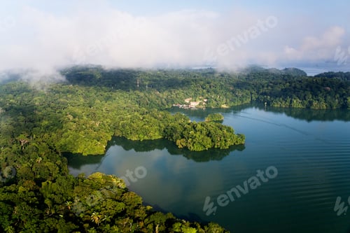 Preview: Forest and Lake