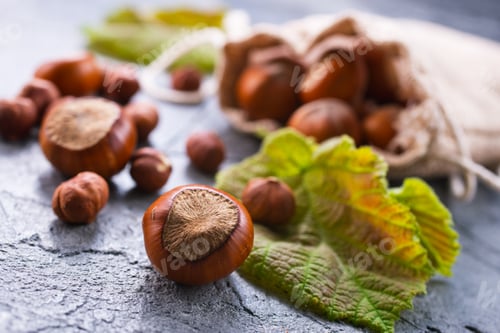 Preview: hazelnuts