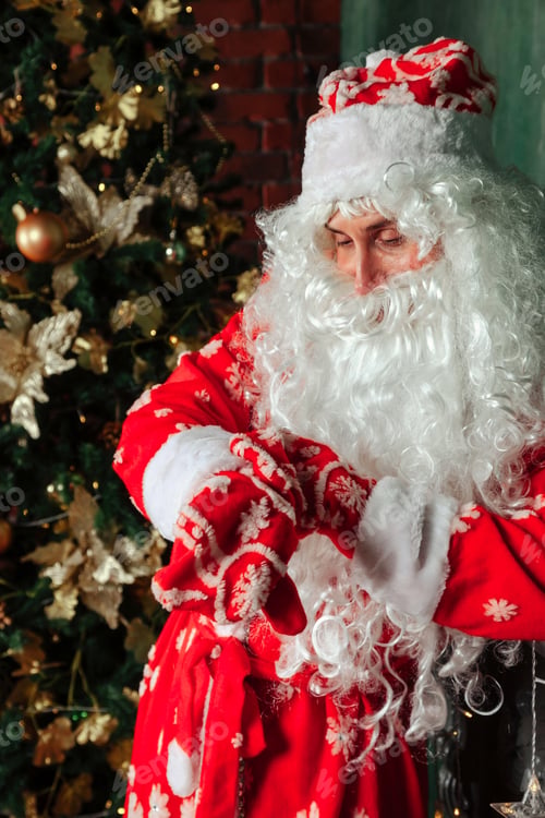 Preview: Portrait of an emotional Santa Claus in decorated living room with Christmas tree