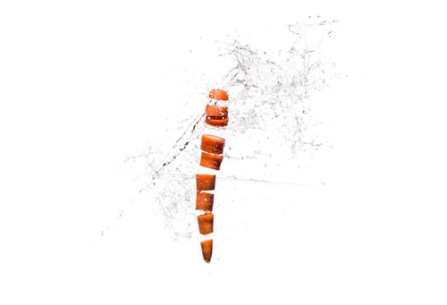 Preview: Fresh sliced carrot in water splashes isolated on white