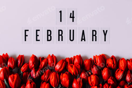 Preview: 14 February, Happy Valentine’s Day and beautiful red tulips, love, love day, romantic