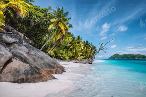 Preview: Daytrip to Therese Island. Mahe, Seychelles Coconut palm trees on tropical secluded sandy beach