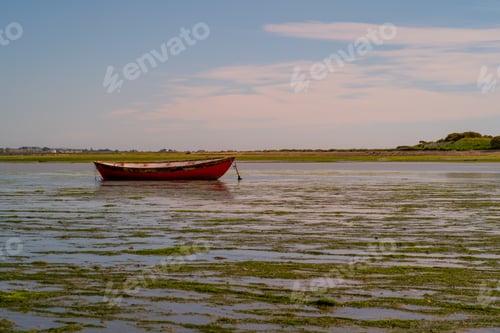 Preview: Red wooden boat floating in thelake covered in green moss near a field