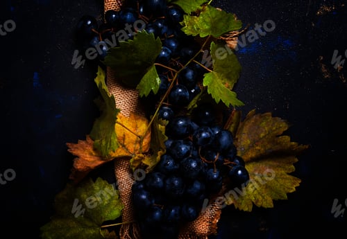 Preview: Blue grapes with green leaves, top view