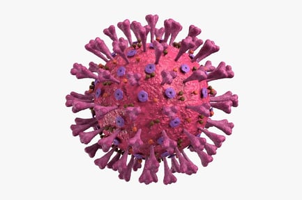 Preview: Detailed Coronavirus Structure