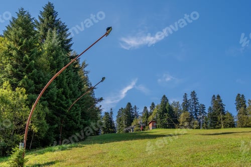 Preview: Green meadow with lush trees under a clear blue sky