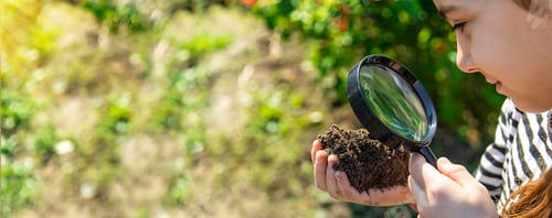 Preview: Children examine the soil with a magnifying glass. Selective focus.