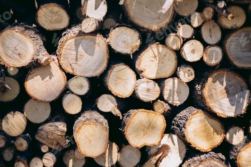 Preview: Closeup of woodpile of cut firewood logs and branches. Rustic fuel concept.