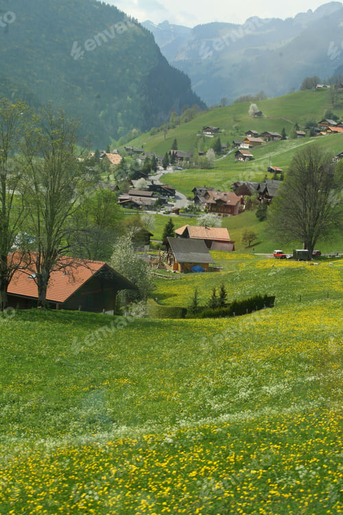 Preview: Swiss village in lush green hills with wildflowers.