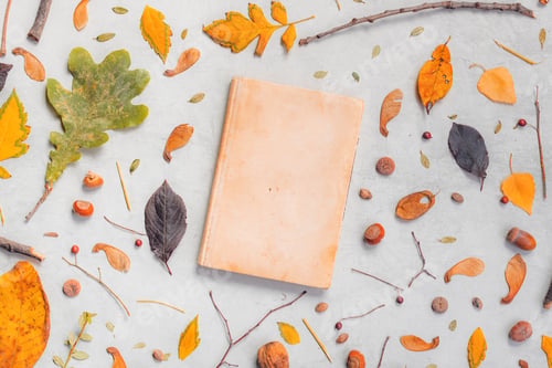 Preview: Vintage book cover mock up with autumn decoration