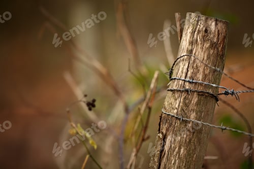 Preview: Selective focus shot of barbed wire fence