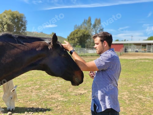 Preview: A man gently pets his horse with the back of his hand as the horse nuzzles in for some love.