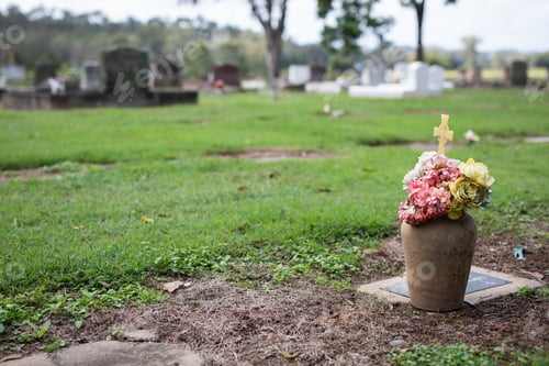 Preview: Graveyard