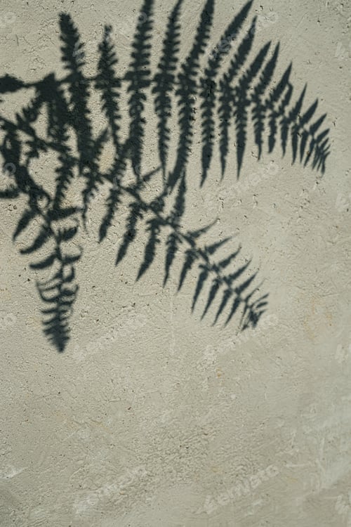 Preview: Fern leafs shadow